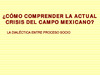 Campo mexicano (Omar).pdf.jpg