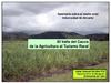 Valle Cauca.pdf.jpg
