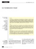 transduccion_visual.pdf.jpg