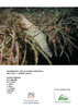 Mediterranea_NumEspecial_2011_02.pdf.jpg