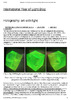 Holography-art-with-light-IYL2015-Blog-05-11-2015.pdf.jpg
