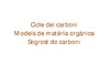 Modelitzacio_de_Sistemes_Ecologics_-_Carboni.pdf.jpg