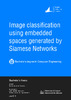 Image_classification_using_embedded_spaces_generat_Lloret_Talavera_Guillermo.pdf.jpg