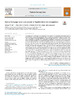 Vidal_etal_2023_PatternRecognition.pdf.jpg