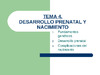 diapositivas_tema_4_desarrollo_prenatal.pdf.jpg
