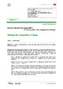 31710GenLingI_11-12_PBL_Making_collage.pdf.jpg