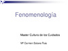 Fenomenologia.pdf.jpg