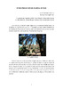 6 Estado Fitosanitario del Palmeral de Figuig.pdf.jpg