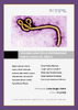 Trabajo_final_ebola.pdf.jpg