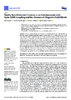 Lopes_etal_2022_Nanomaterials.pdf.jpg