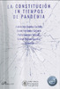 La-pandemia-del-Covid-19.pdf.jpg